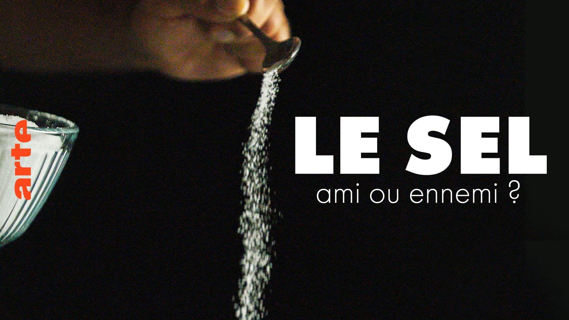 Salz — je weniger, desto besser?