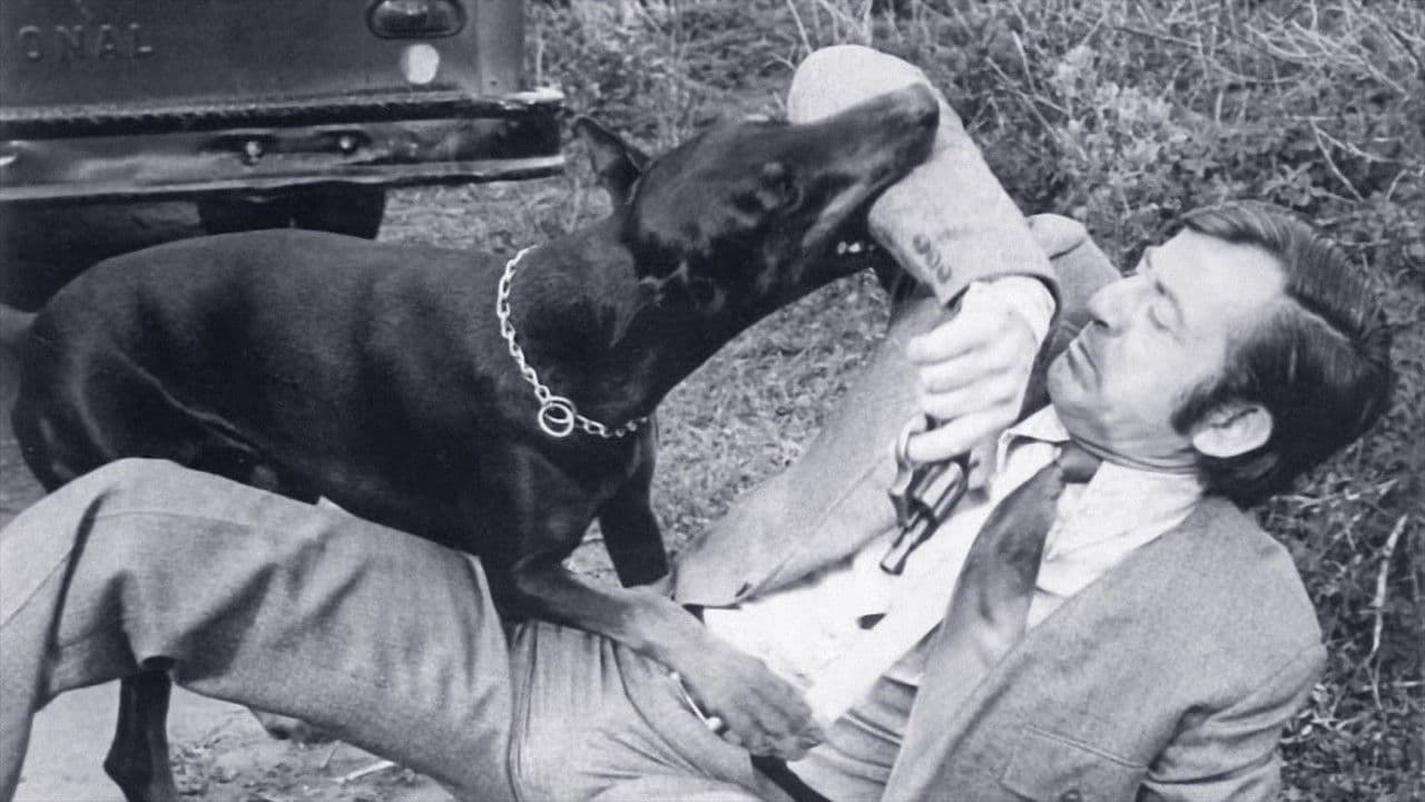 Die tolldreisten Dobermänner