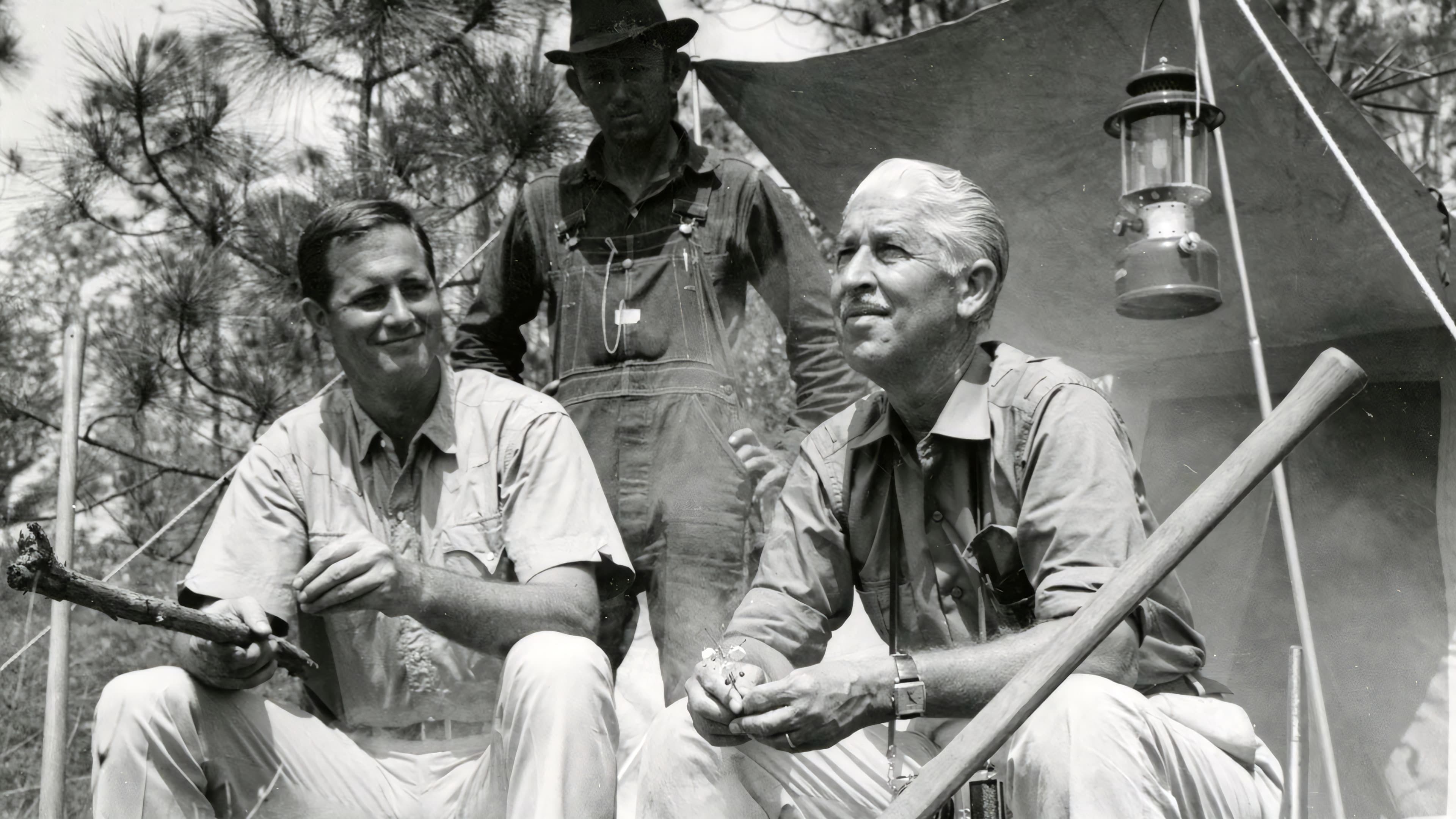 Im Reich der wilden Tiere