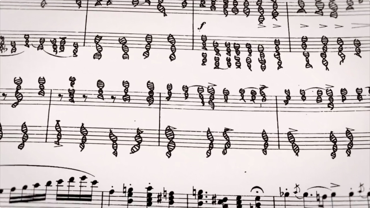 Epigenetik - Sind wir Gene oder Umwelt?