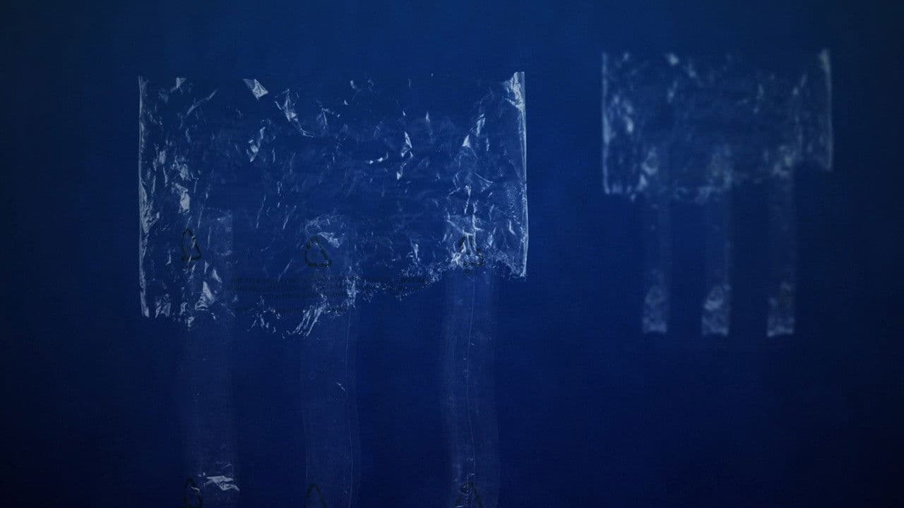 The Skoupidozoic Era