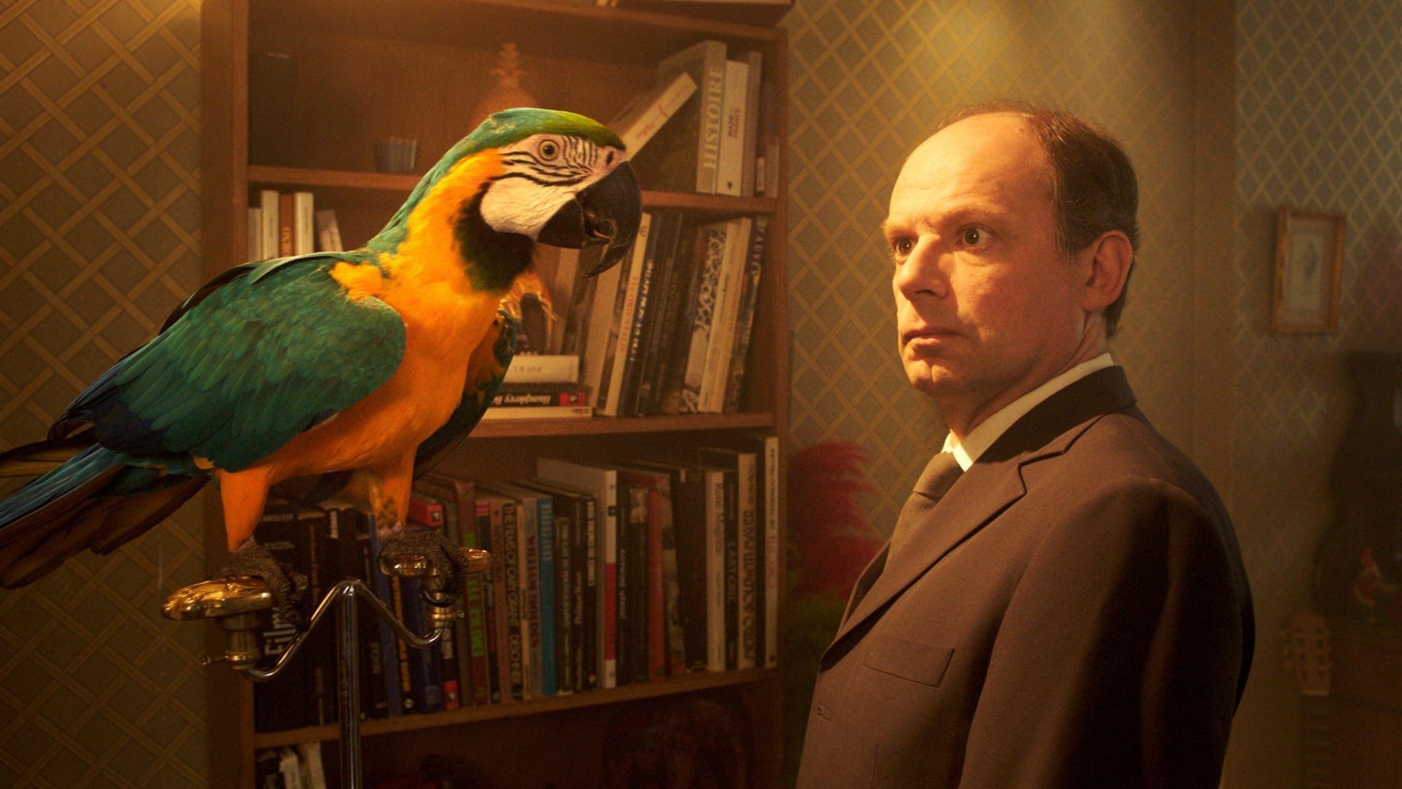 Der durch die Wand geht