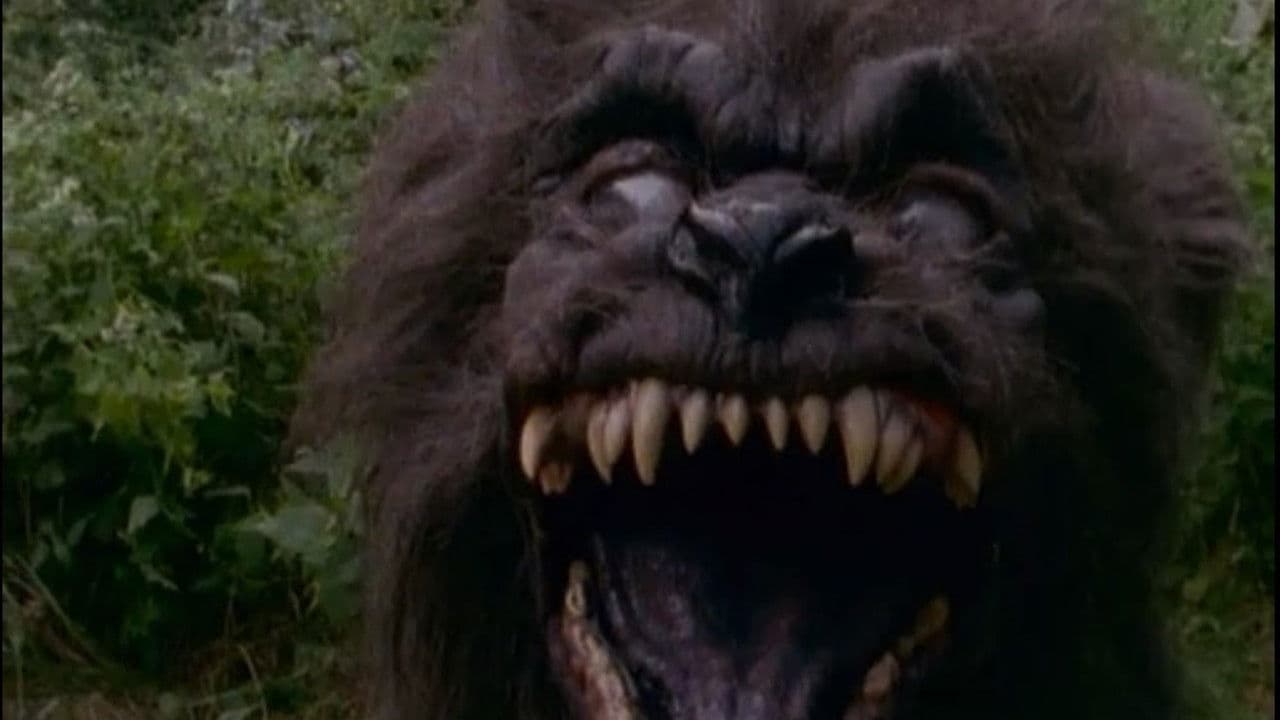 Gänsehaut: Nachts, wenn alles schläft