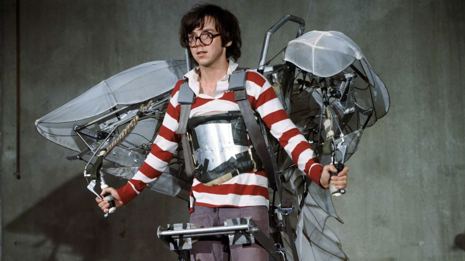 Auch Vögel können töten