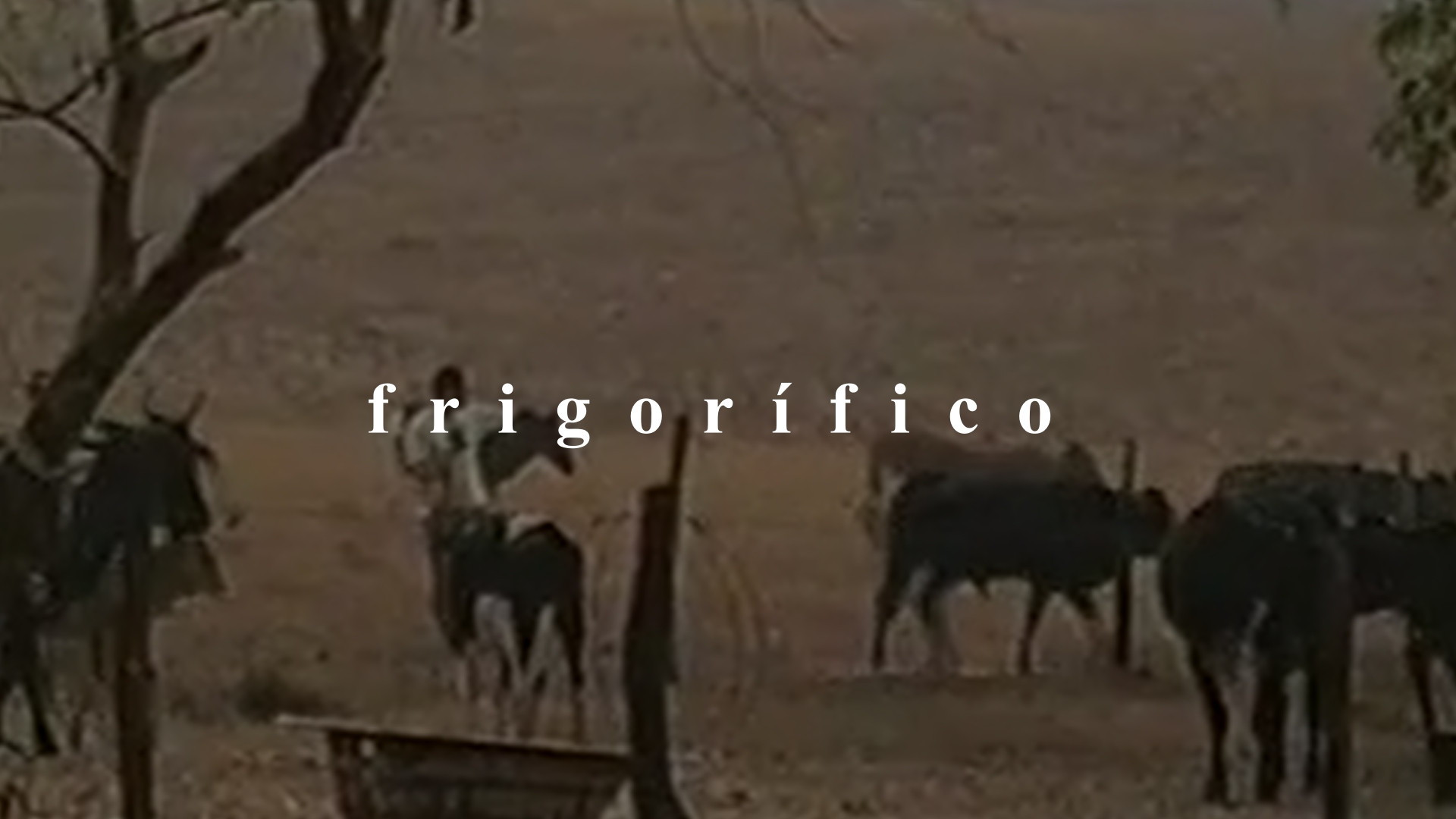 Frigorífico