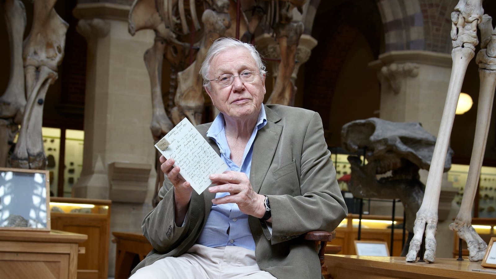 Kurioses aus der Tierwelt