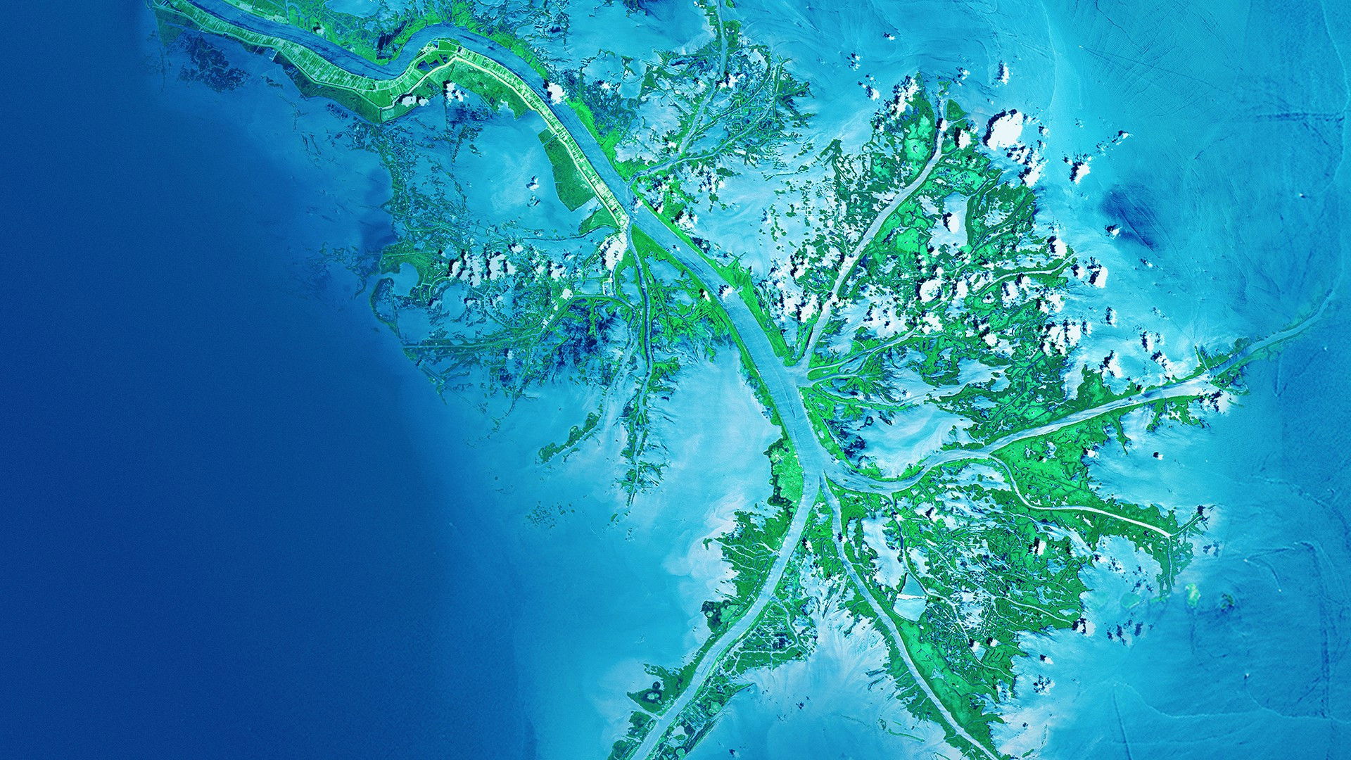 Curiosidades de la tierra