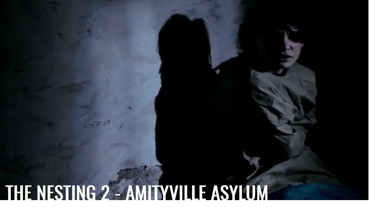The Nesting 2 - Amityville Asylum