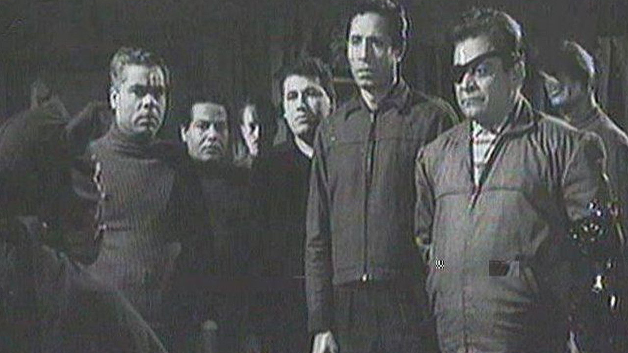 القط الأسود