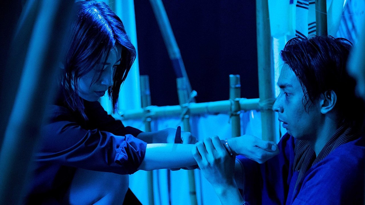 完全なる飼育 étude