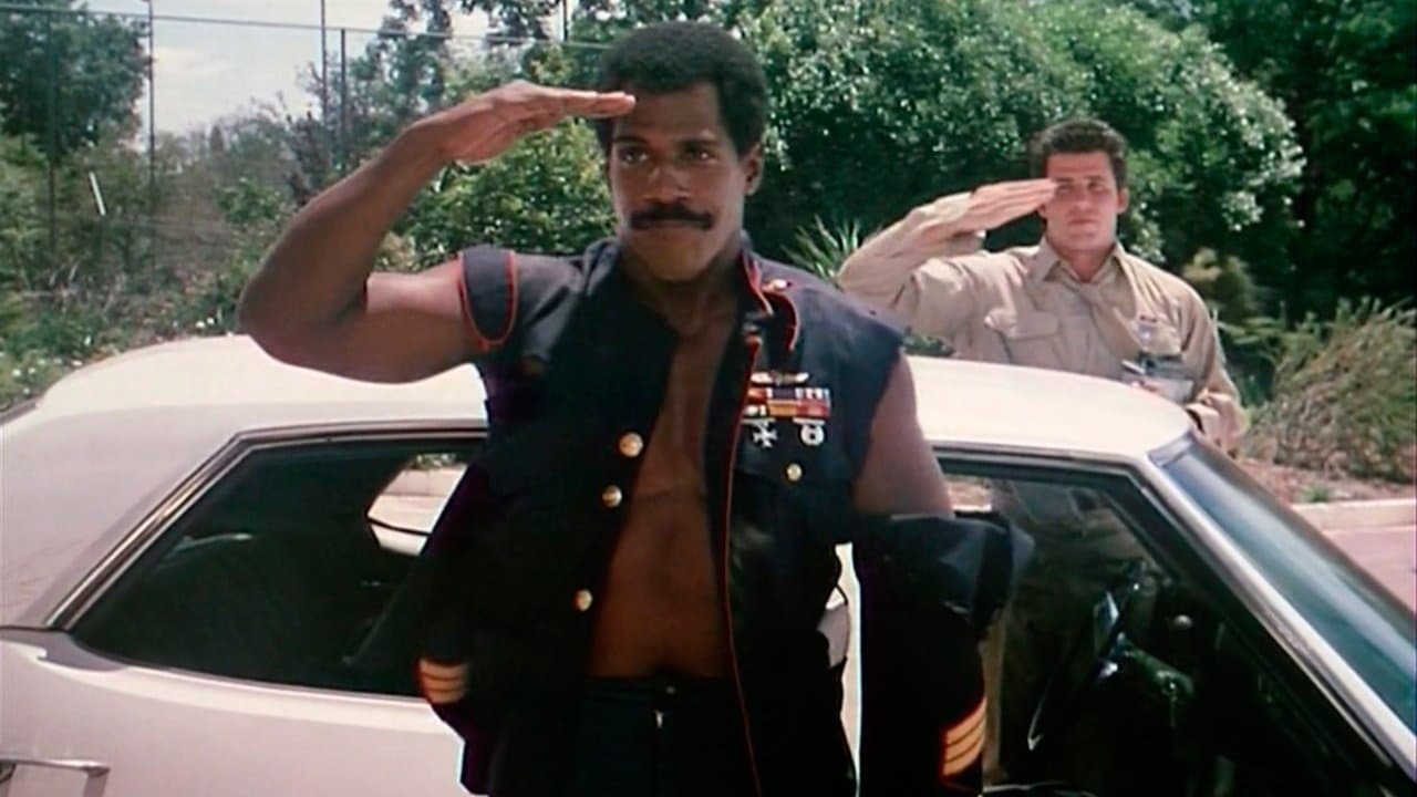 American Fighter 2: Der Auftrag