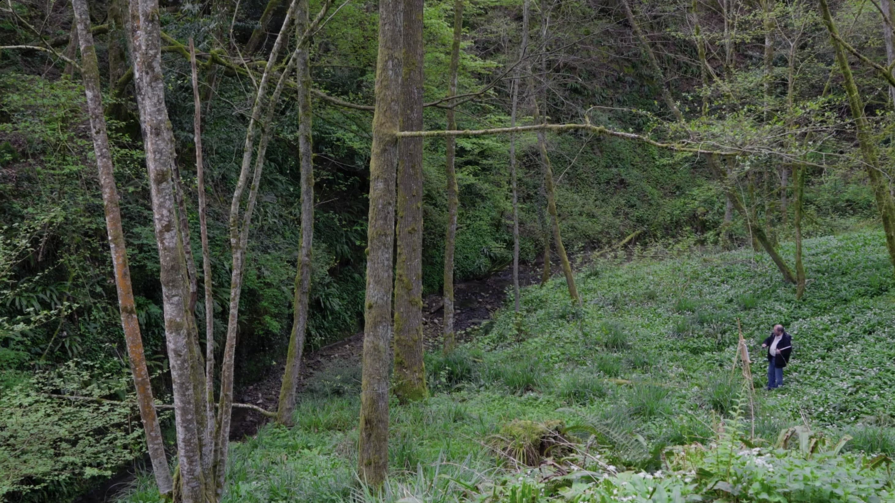 Un regard sur l'oeuvre