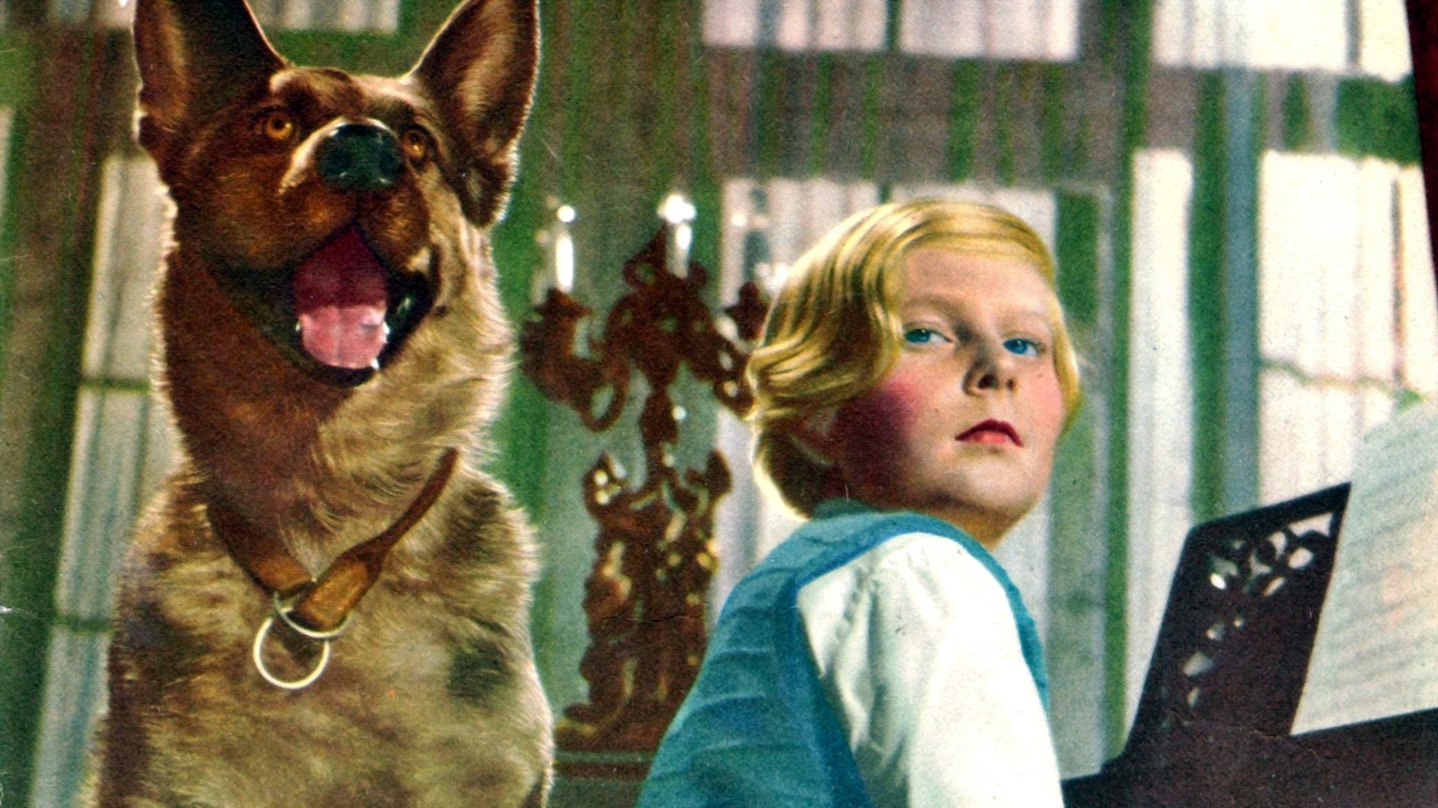 Entführung ins Glück