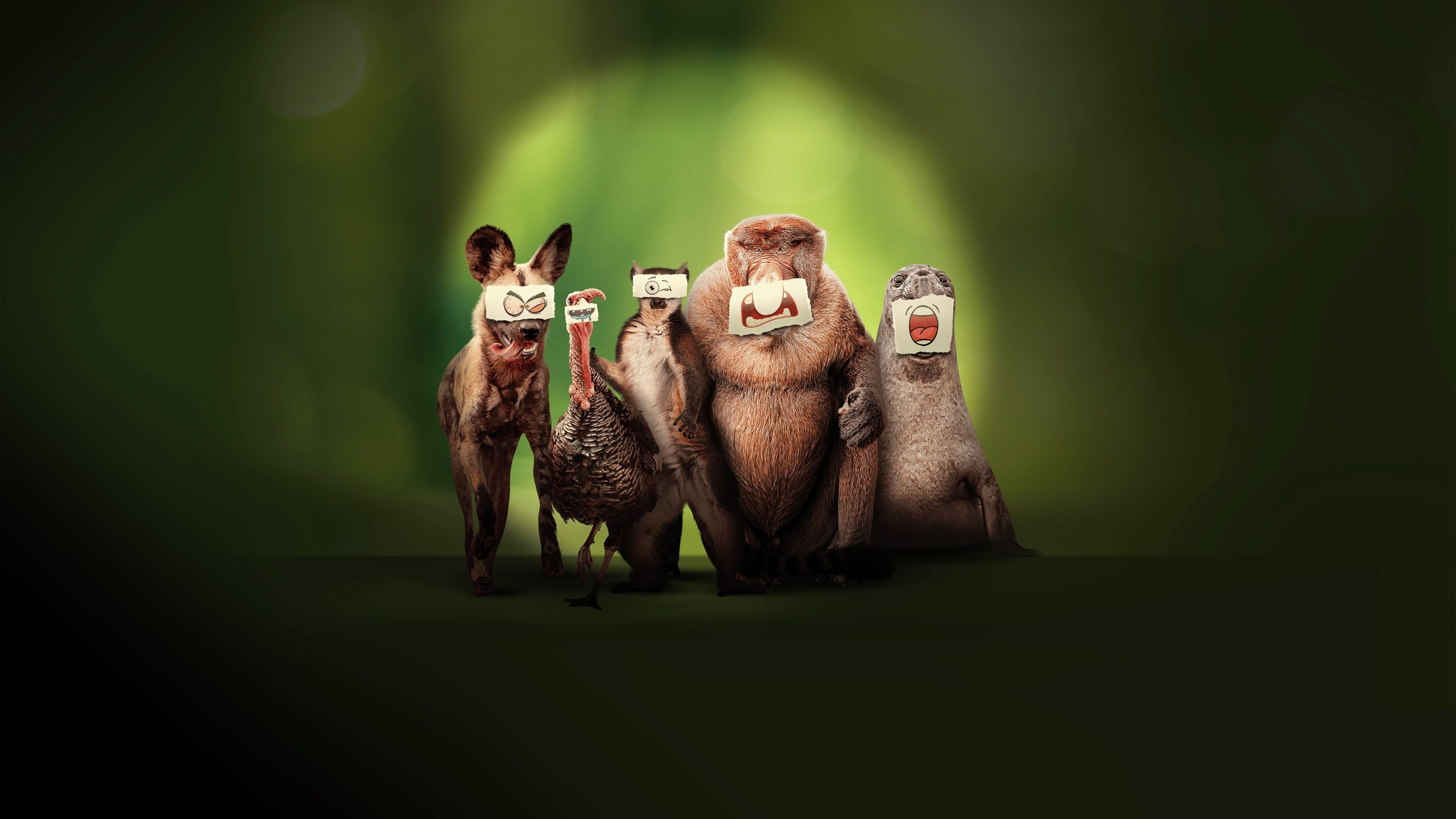 Underdogs: Außenseiter des Tierreichs