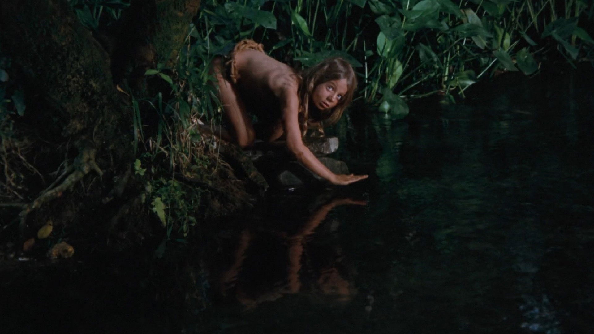 El rey de los gorilas