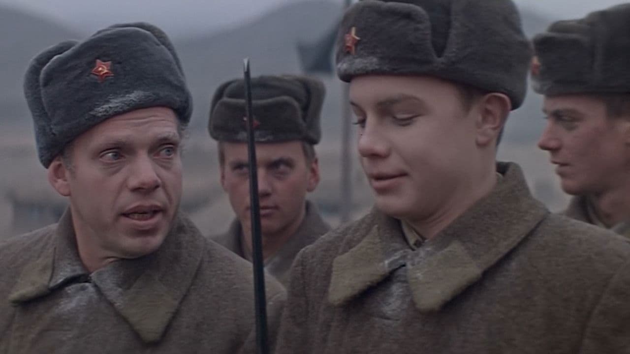 Приказ: огонь не открывать