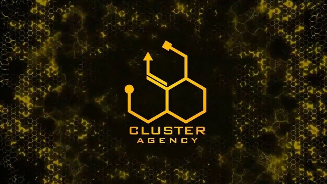Cluster Agency