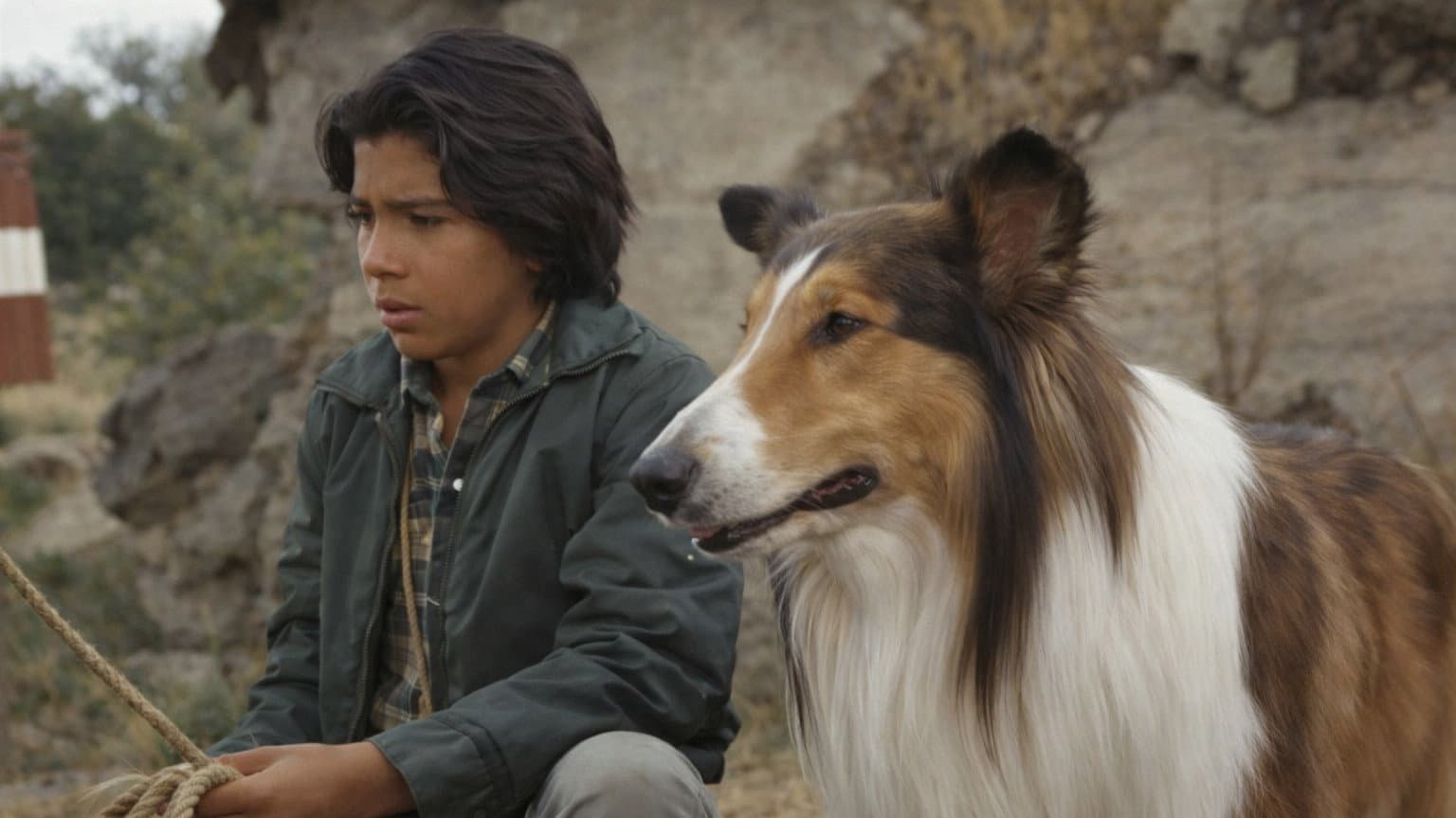 Lassie und ihr Freund Neeka