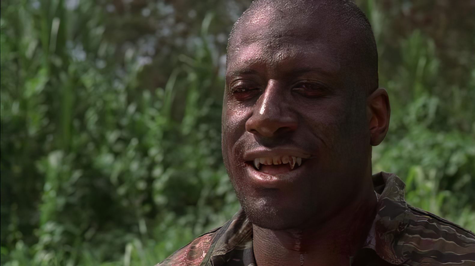 Slayer - Die Vampir Killer