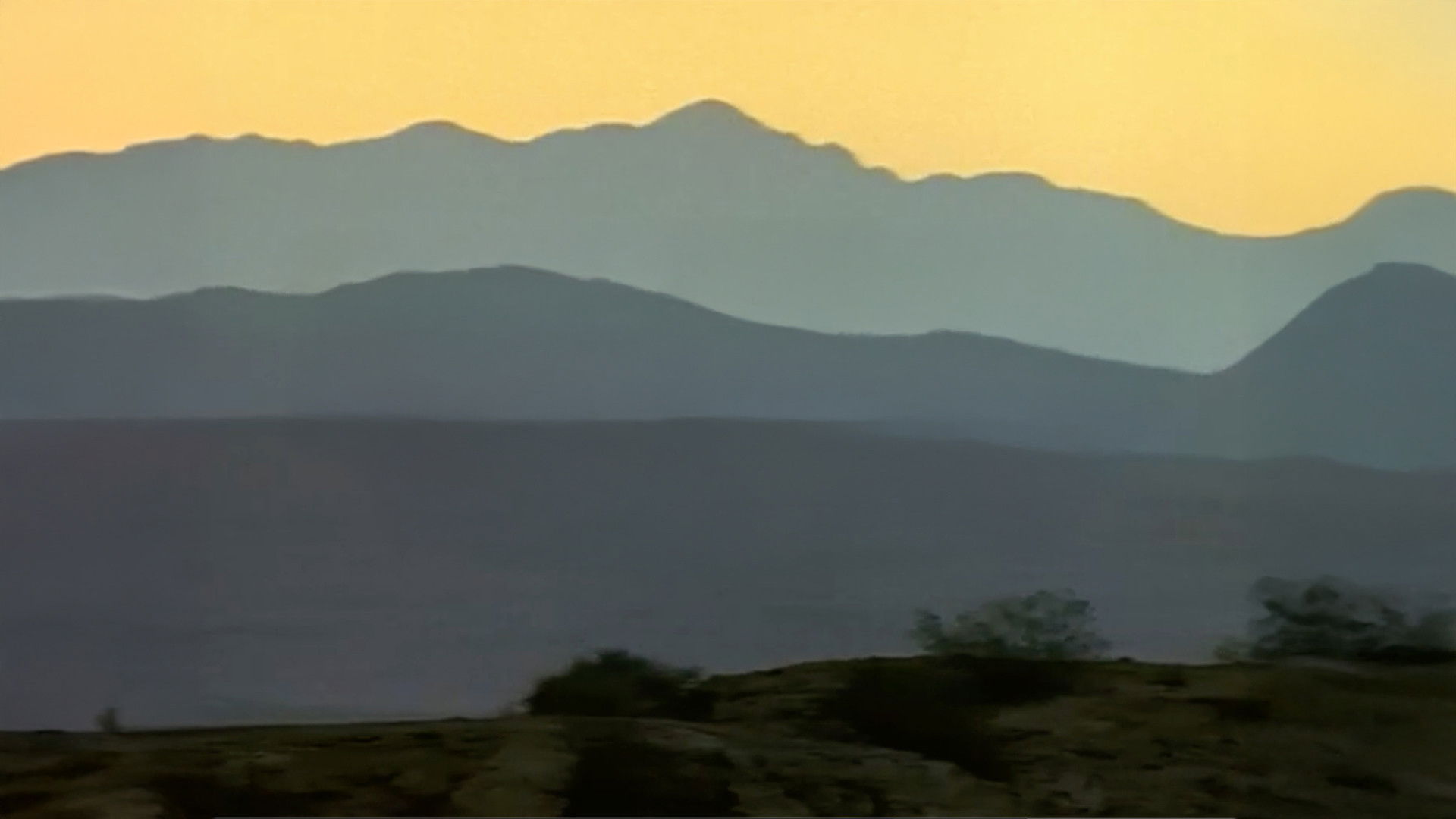 Dinosaurs Inside & Out