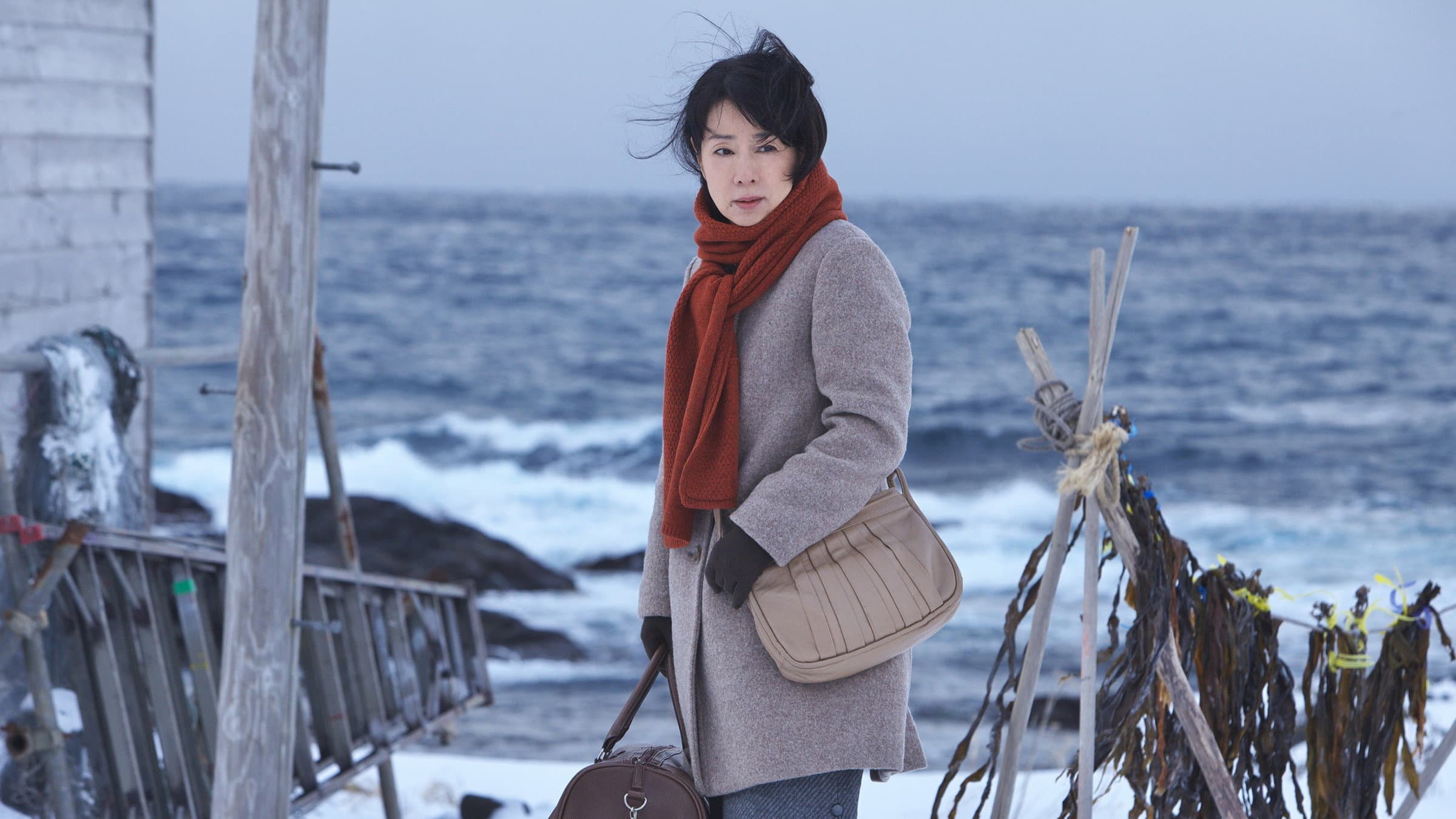 北のカナリアたち