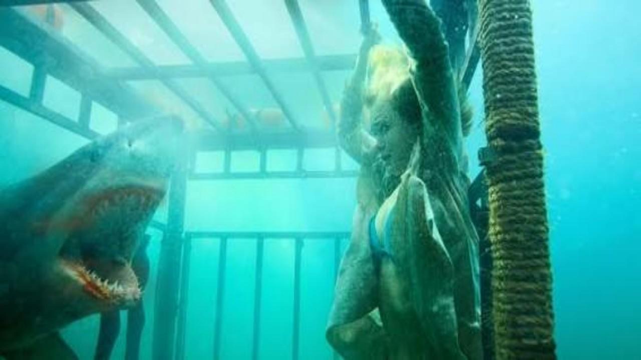 Raging Sharks - Killer aus der Tiefe