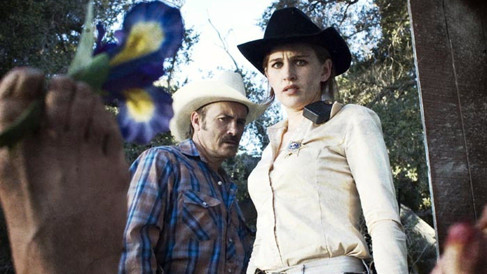 Brutal - Ein erbarmungsloser Slasher!