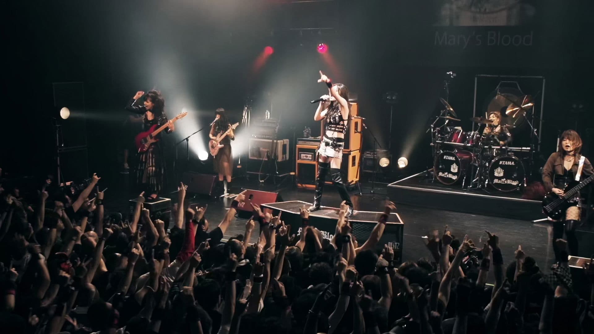 LIVE at BLITZ ~Make The New World Tour 2018~