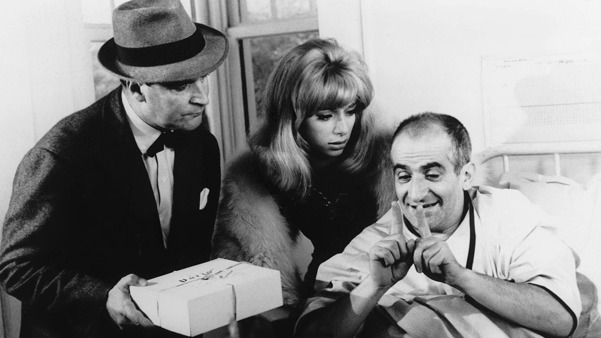 Radieschen von unten