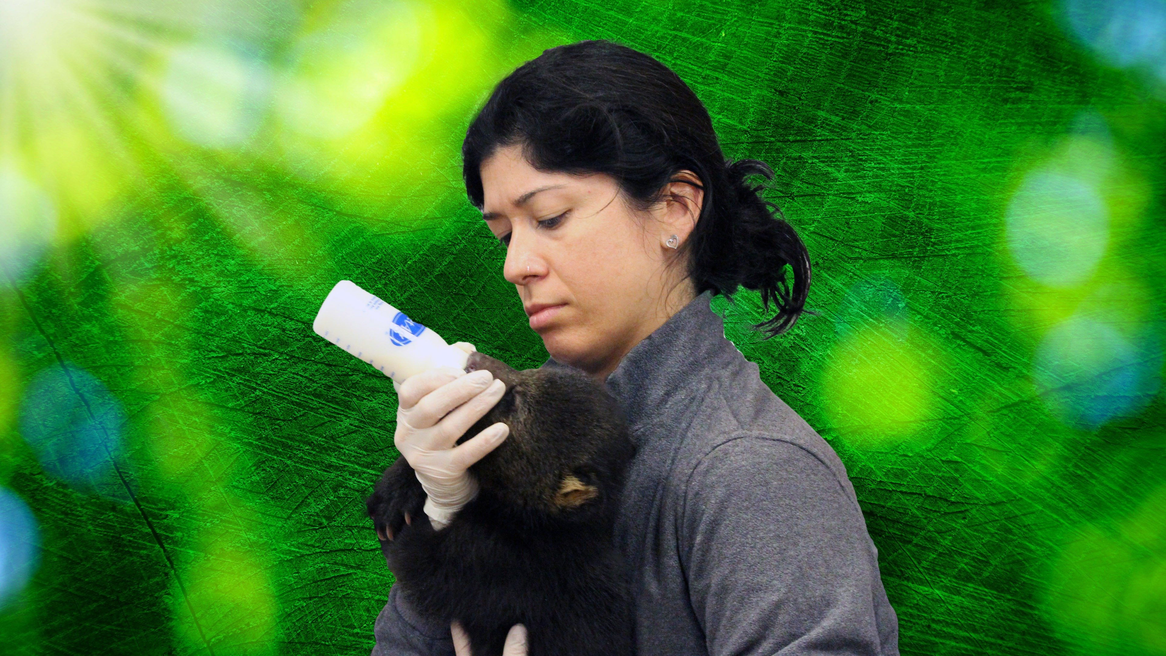 Zoogeflüster: Tampa