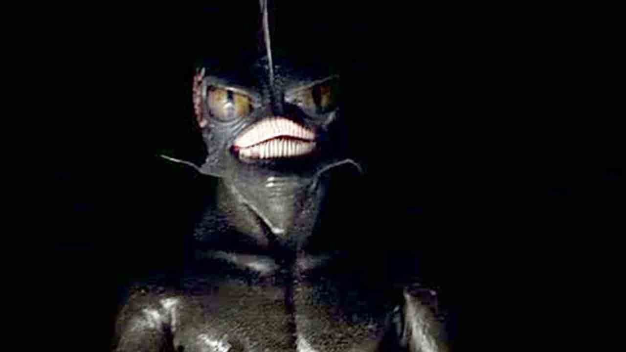 Hypothermia - The Coldest Prey