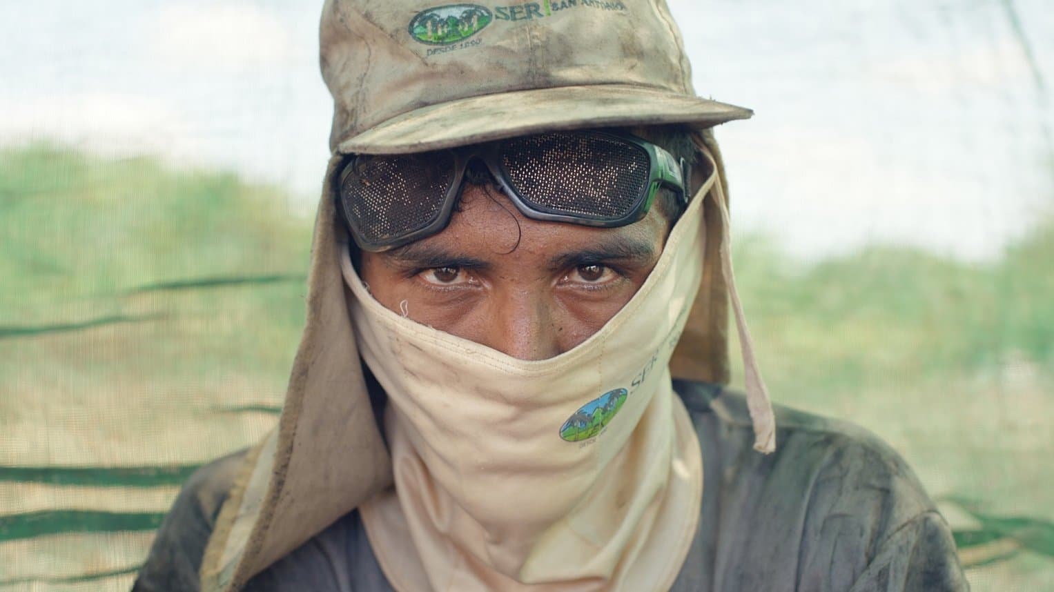 Hitzefrei? Klima wandelt Arbeit