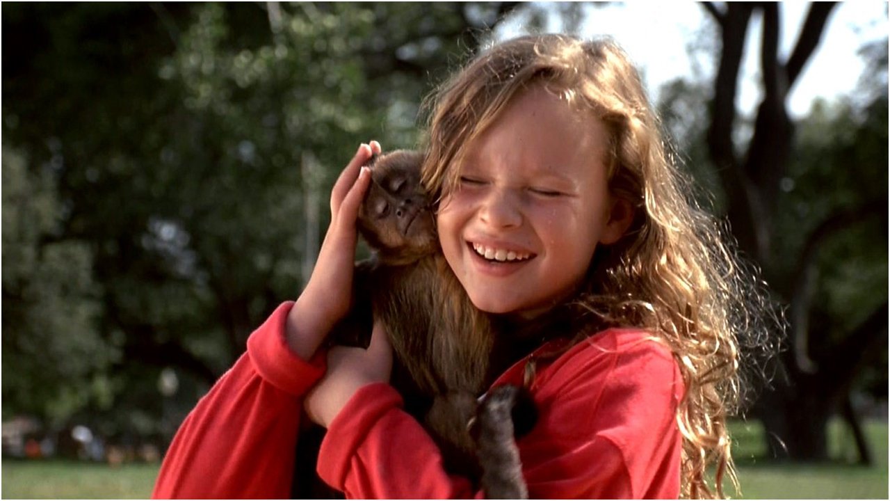 Immer Ärger um Dojo