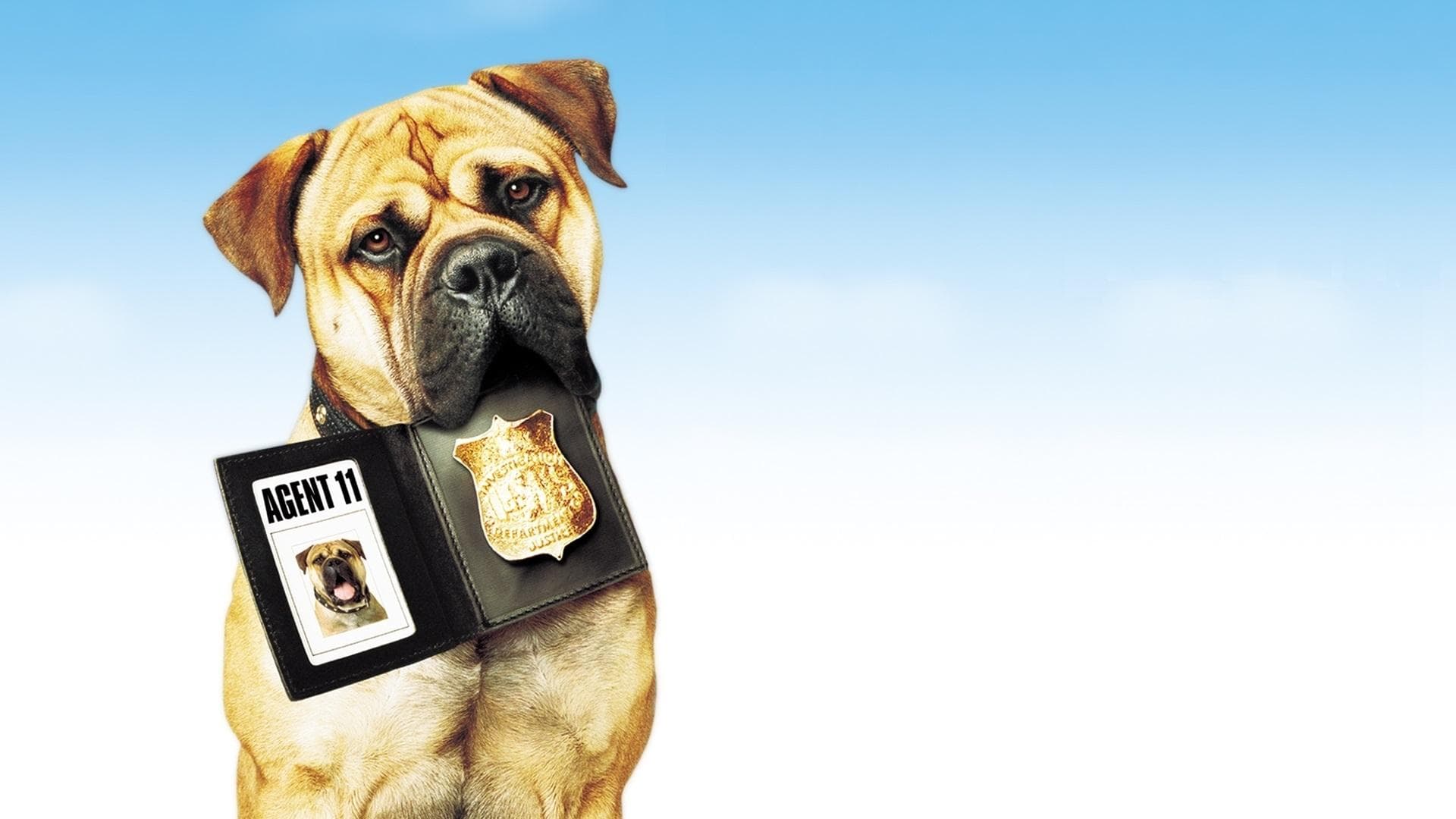 Spot - Ein Hund auf Abwegen