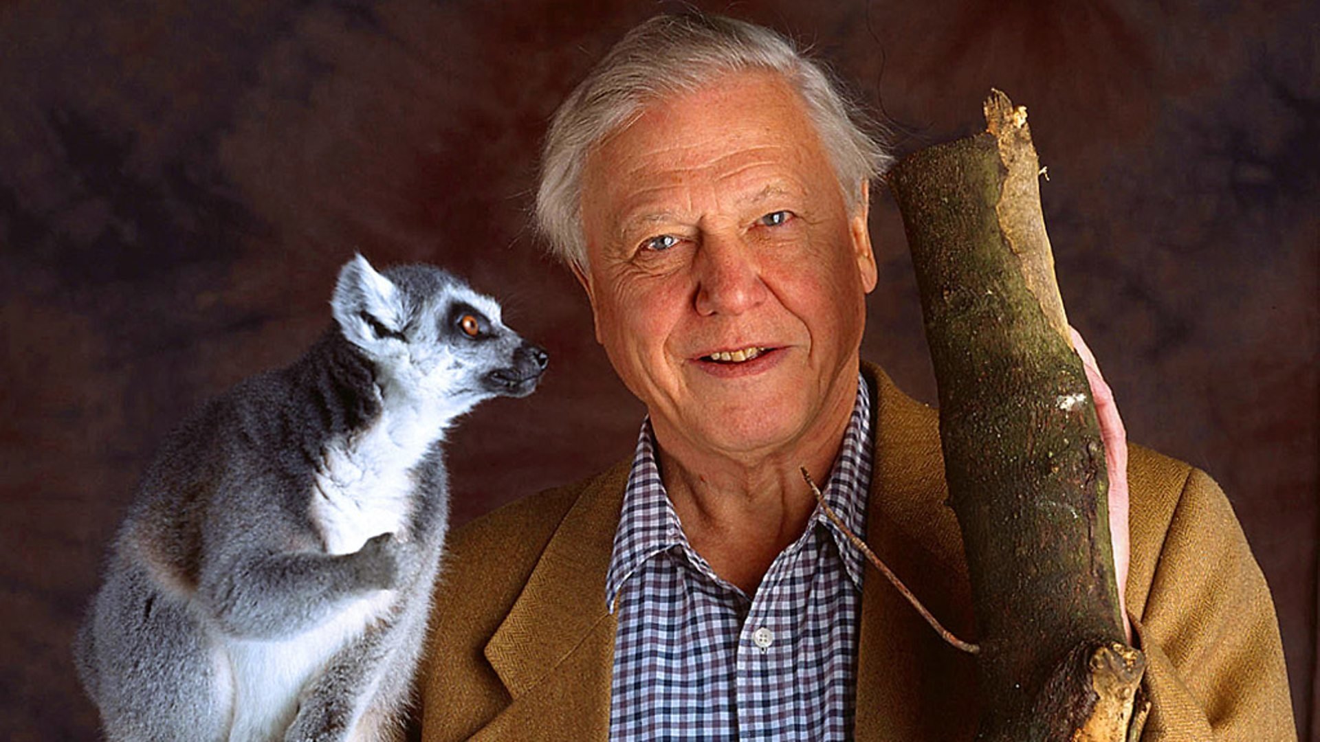 Das Leben der Säugetiere