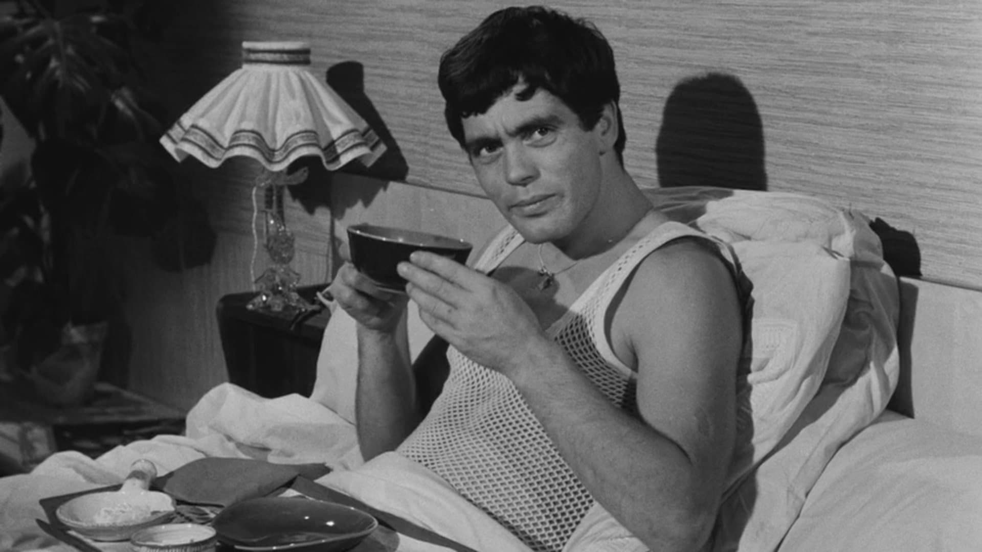 Futter für süße Vögel