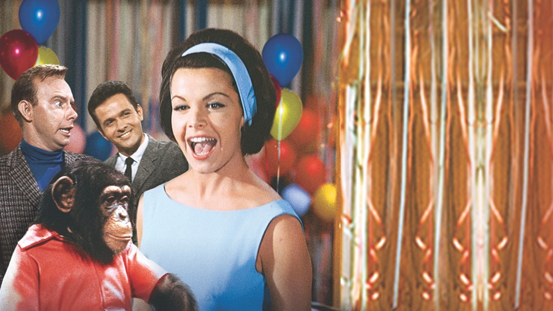 Eine Uni voller Affen