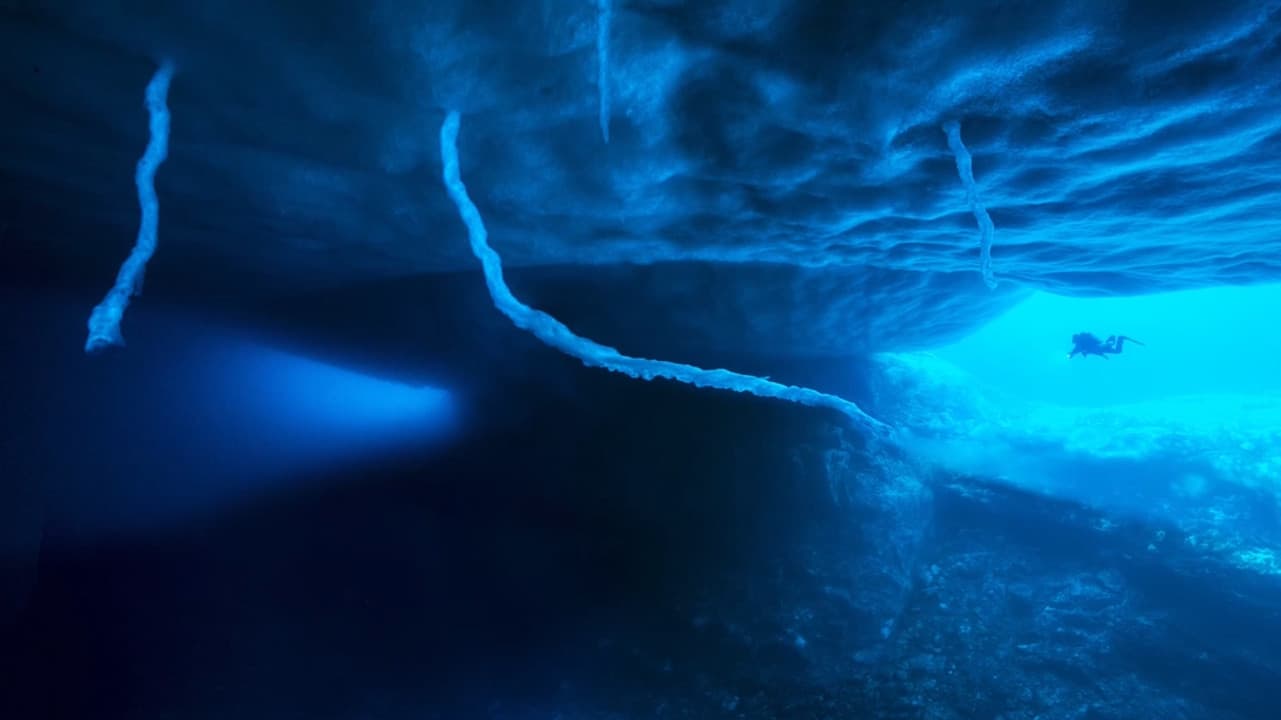 Antarktis - Die Reise der Pinguine