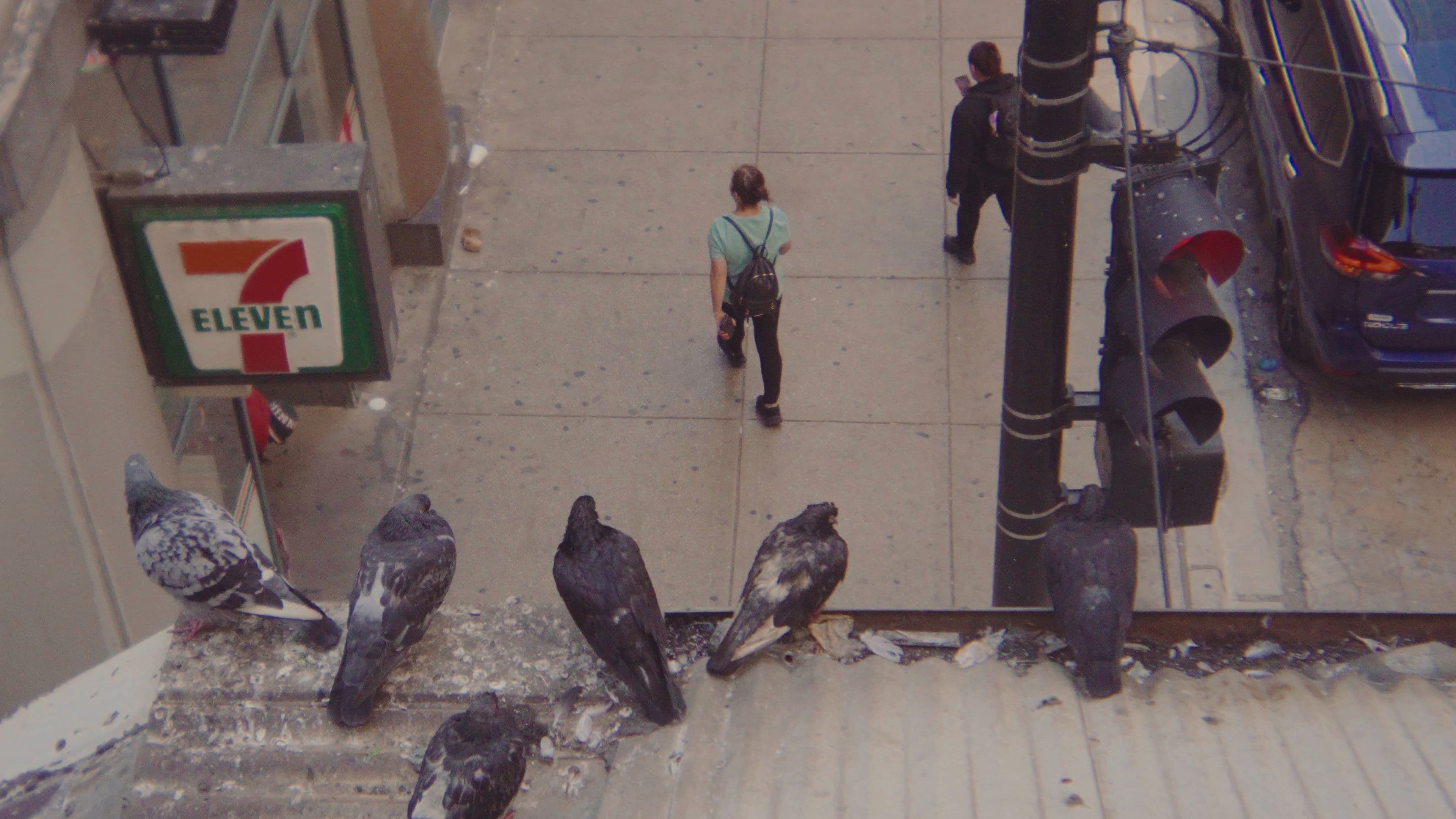 အိမ်သတင်းများ