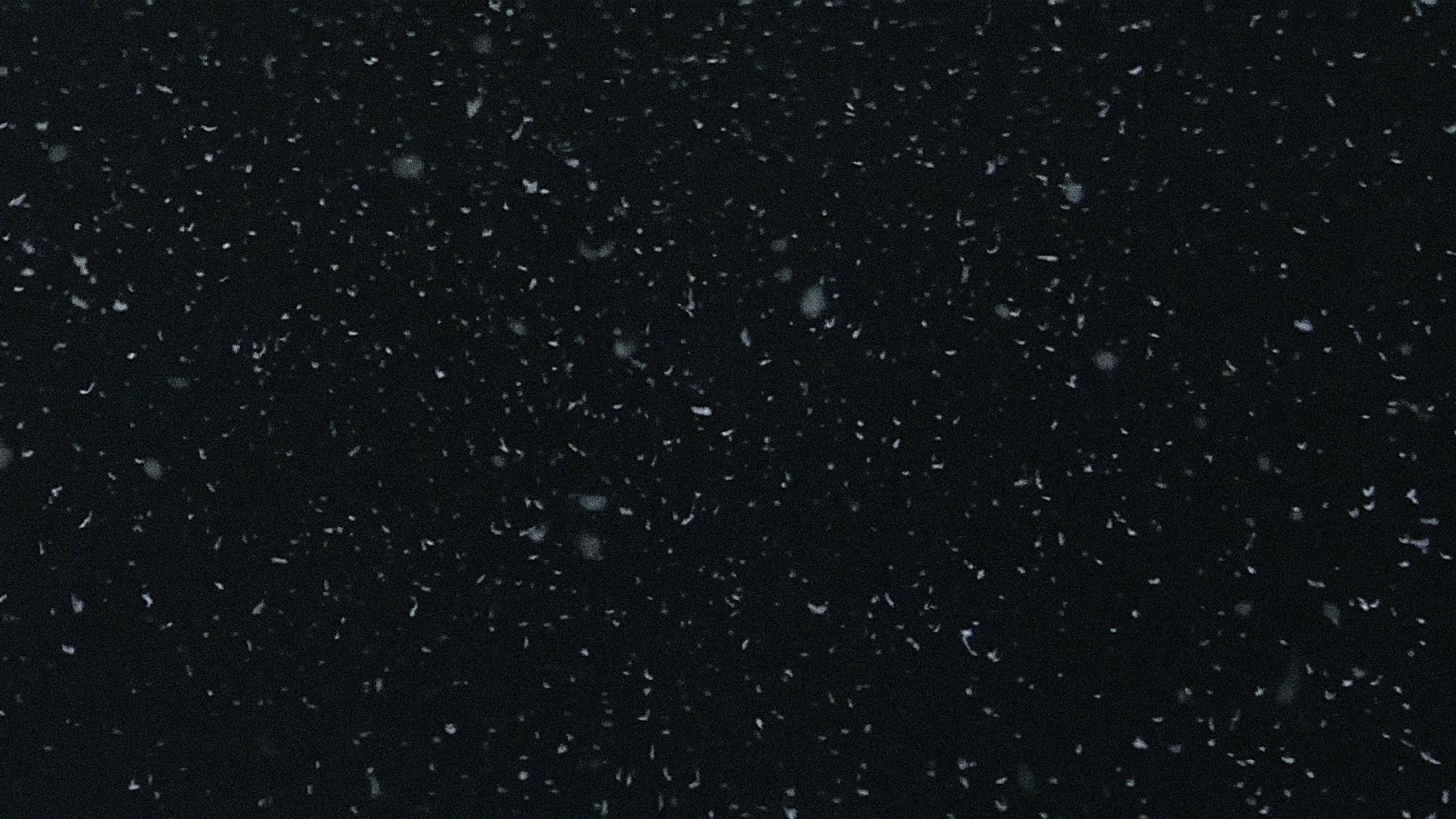 Liebe bis in den Tod