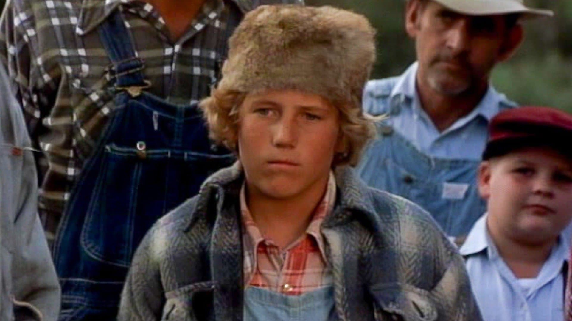 Wo der rote Farn wächst