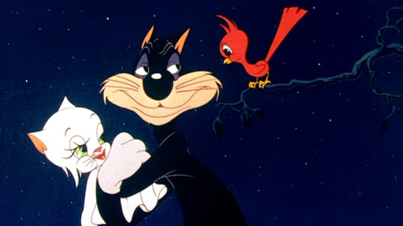 Der geschniegelte Kater