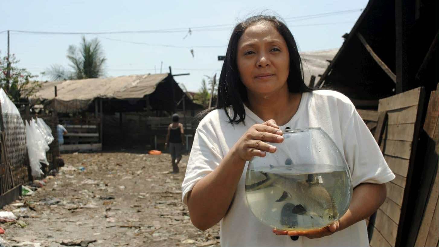 Isda