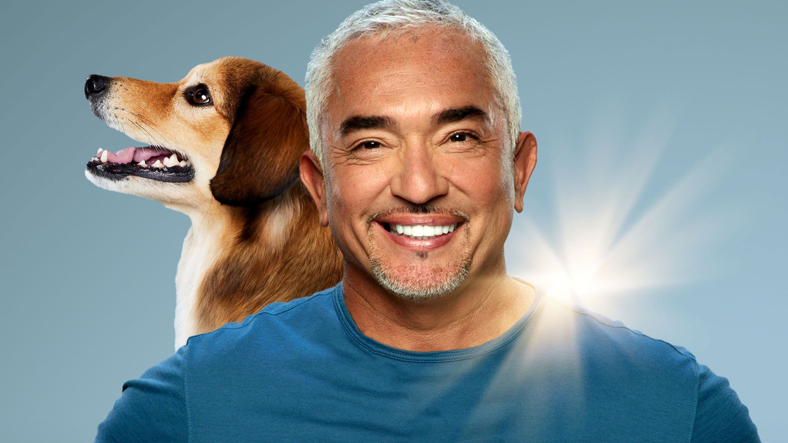 Cesar Millan: Guter Mensch guter Hund