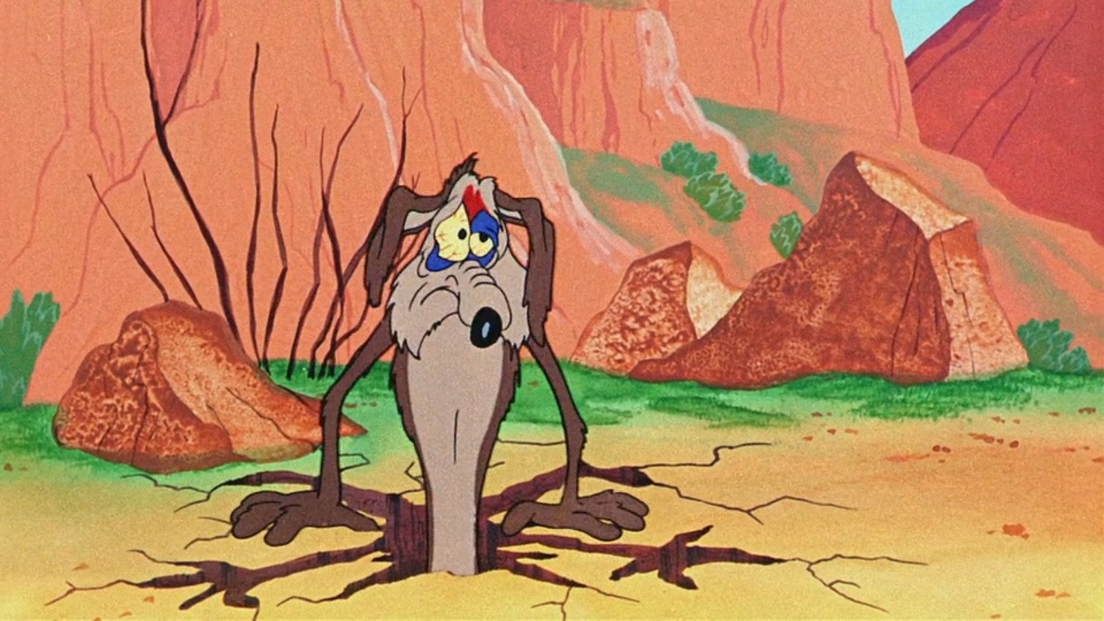 Road Runners Beep-Show