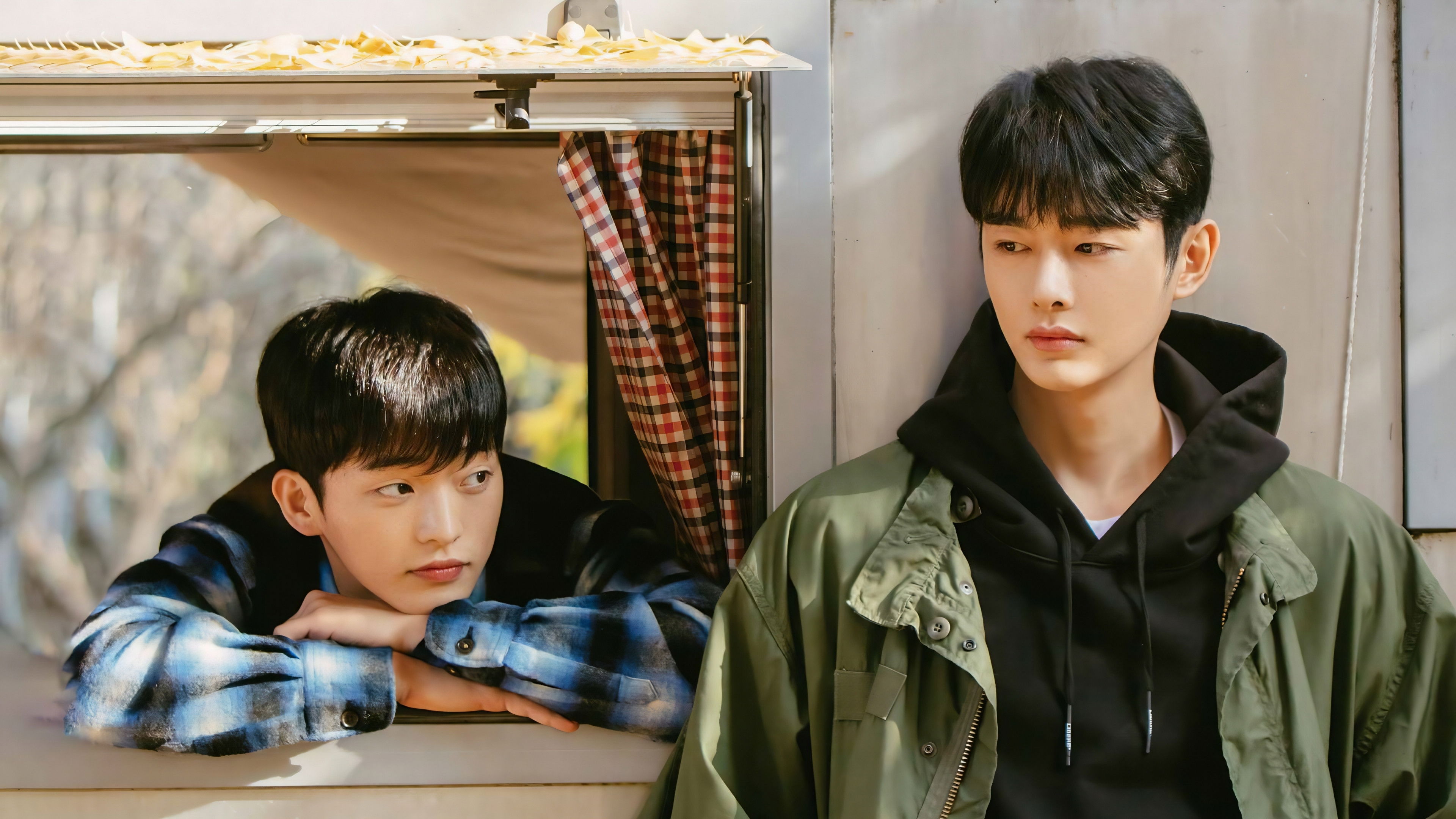 겨울 지나 벚꽃