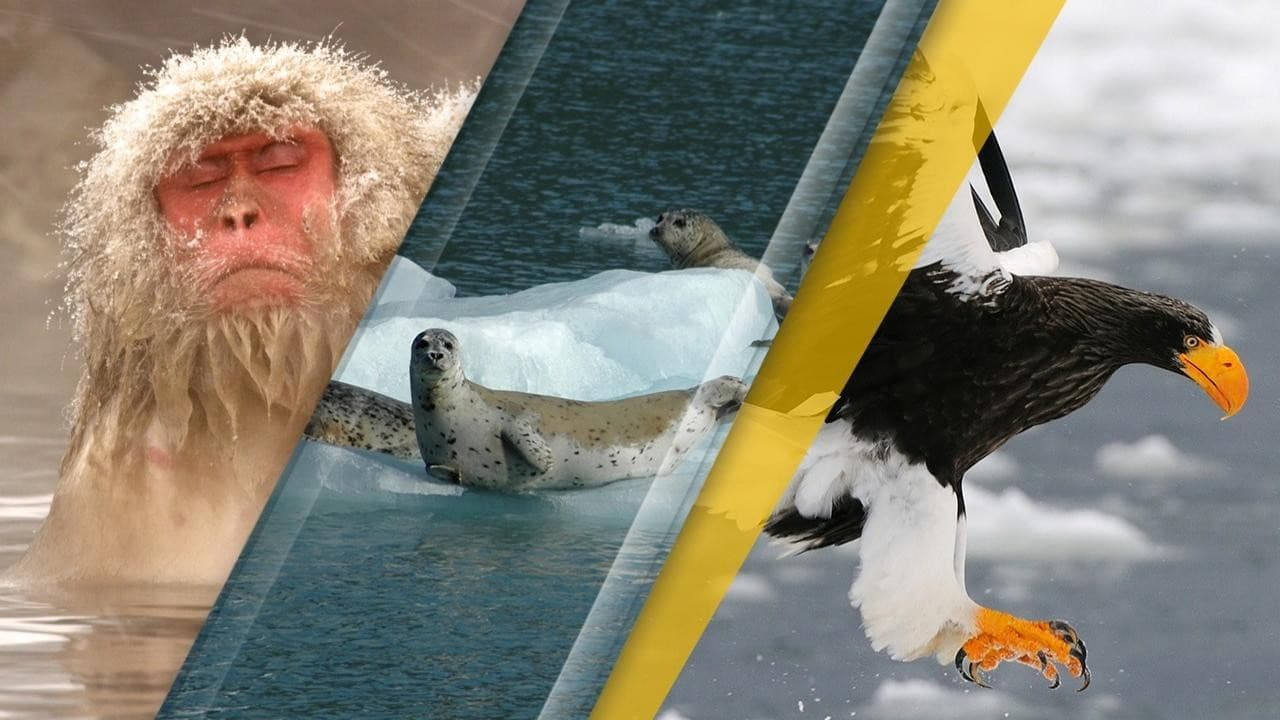 Japans wilde Jahreszeiten