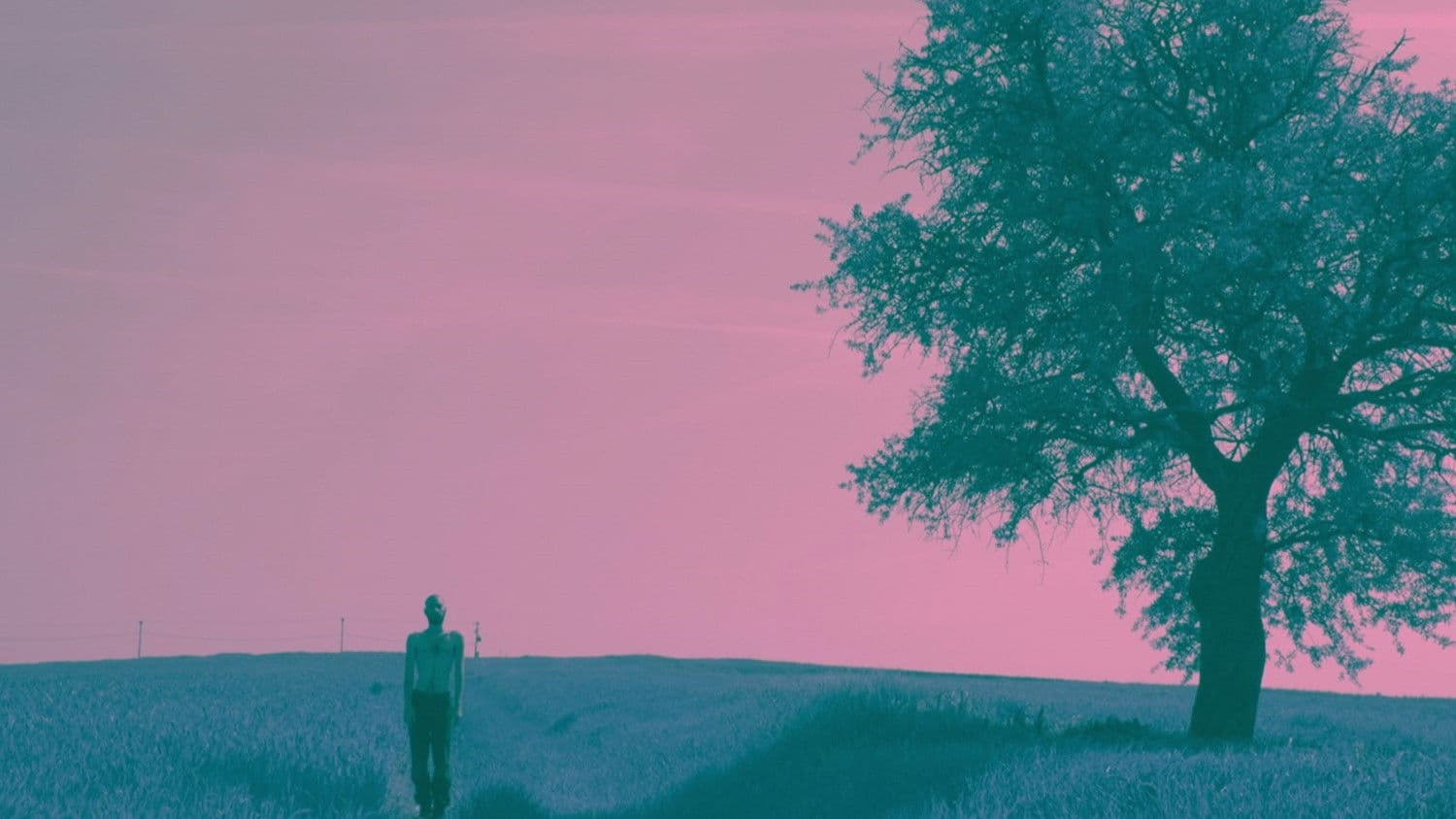 Παραμόρφωση