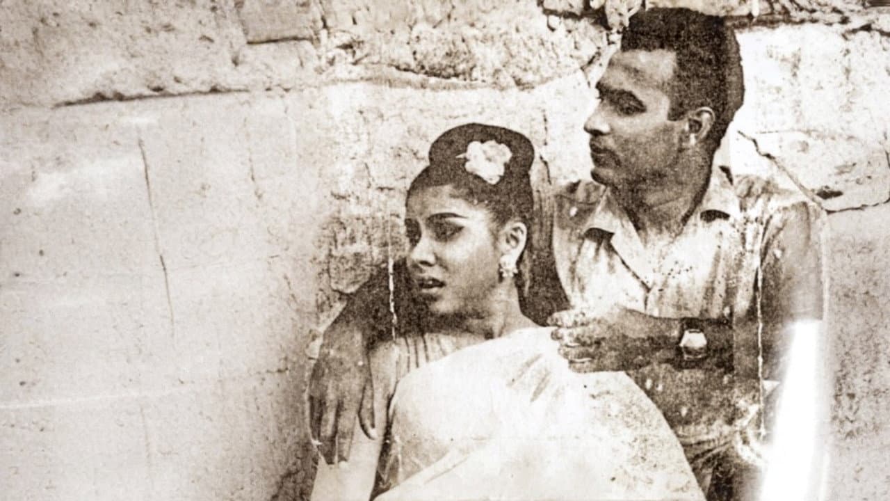 රන්මුතු දූව