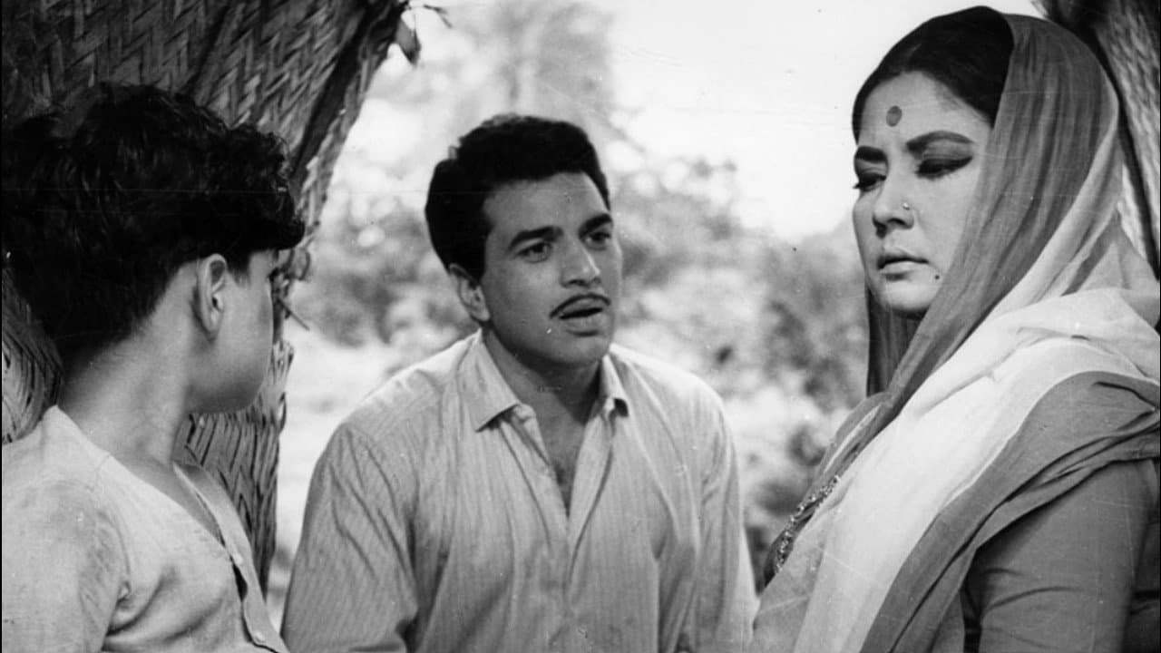 मझली दीदी